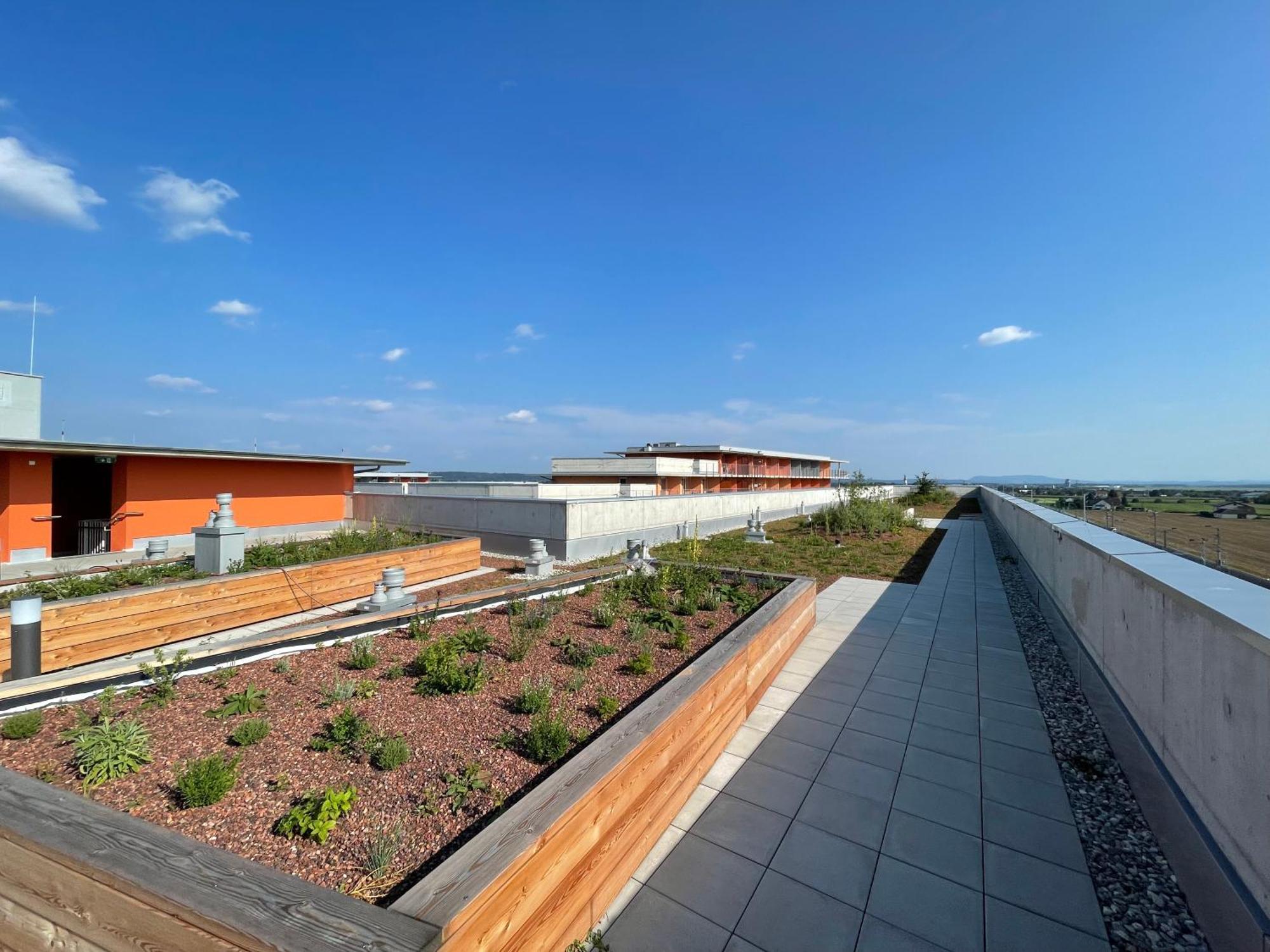 Luxusapartment Mit 40 Qm Terrasse, E-Parkplatz Und Parkplatz Грац Экстерьер фото